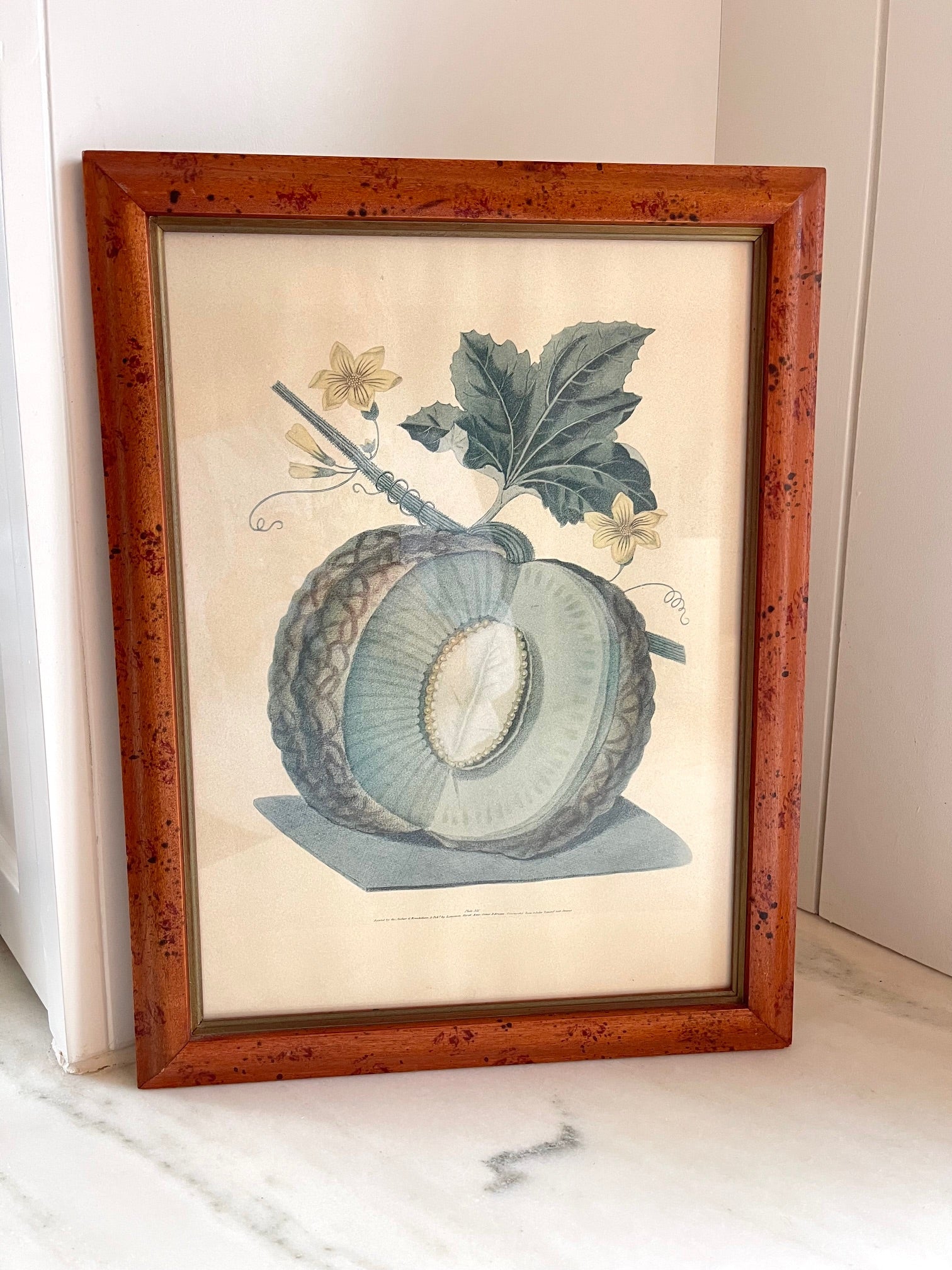 Vintage George Brookshaw Botanical Melon Prints