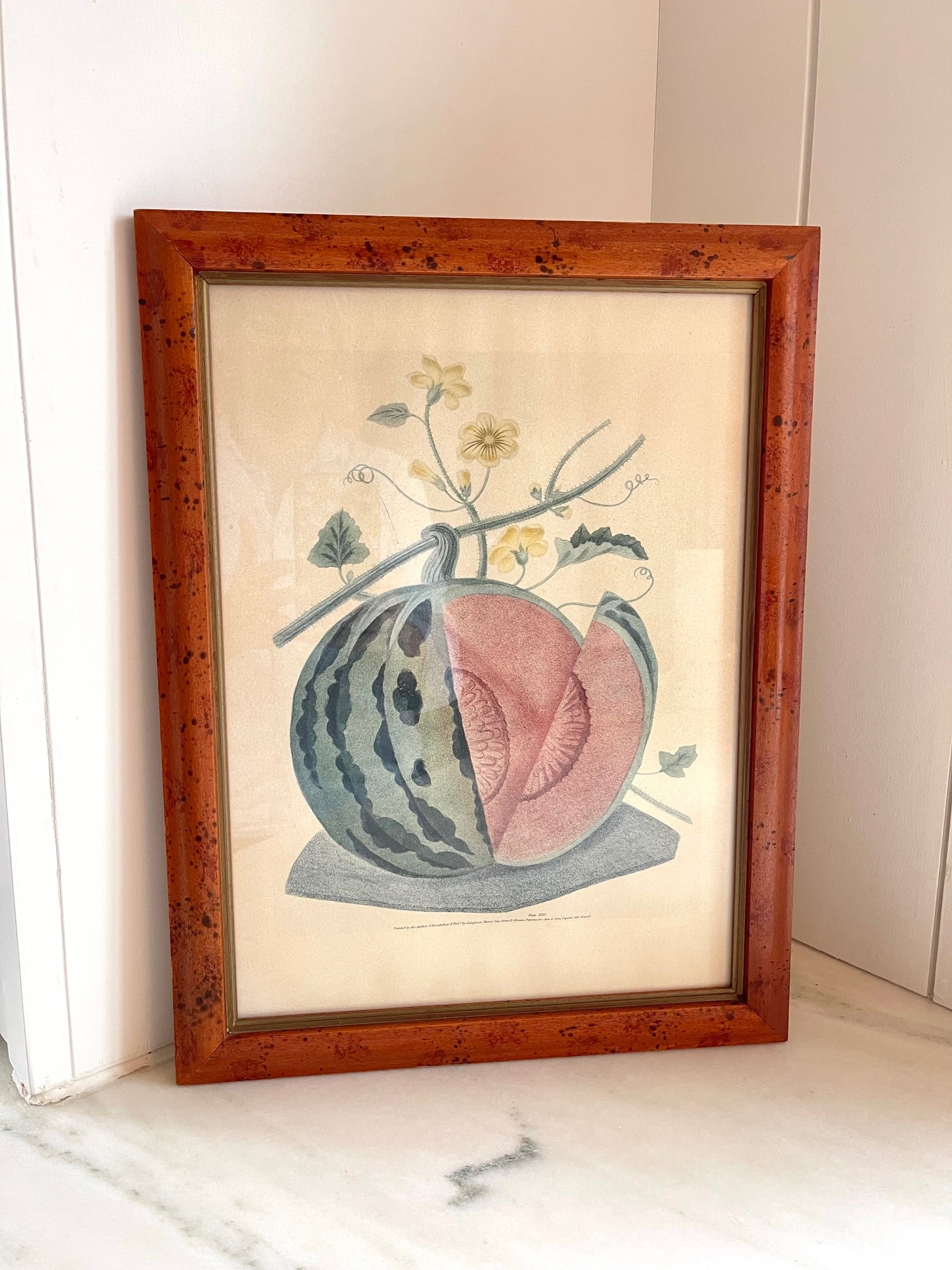 Vintage George Brookshaw Botanical Melon Prints