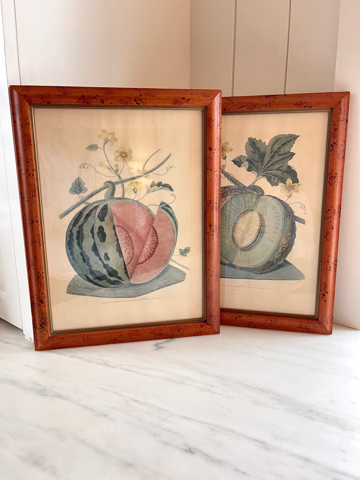 Vintage George Brookshaw Botanical Melon Prints