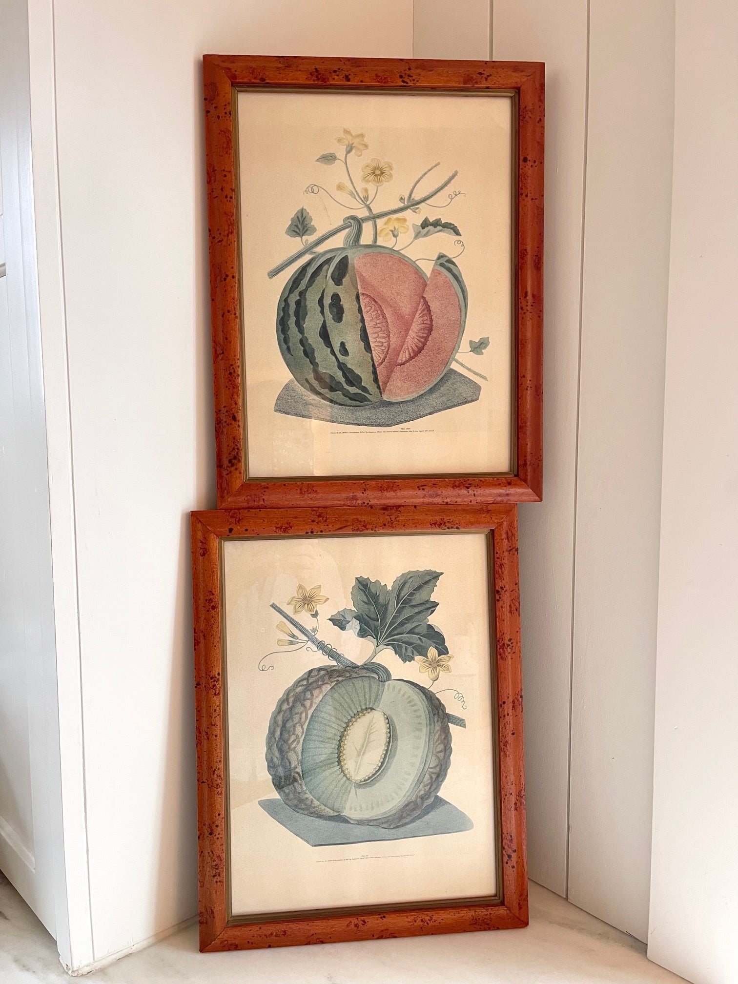 Vintage George Brookshaw Botanical Melon Prints