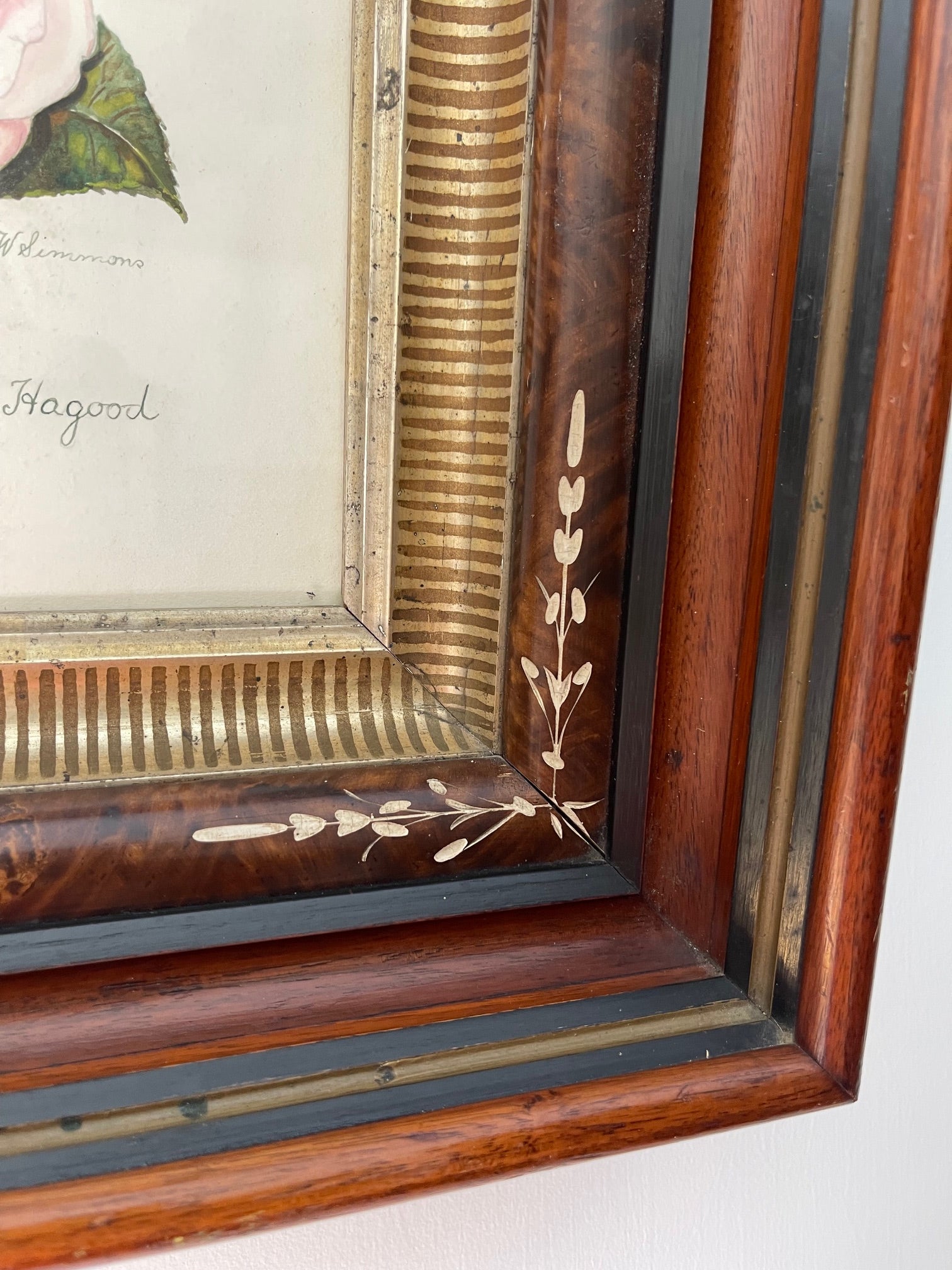 Antique Framed Hand Colored Botanical Drawing