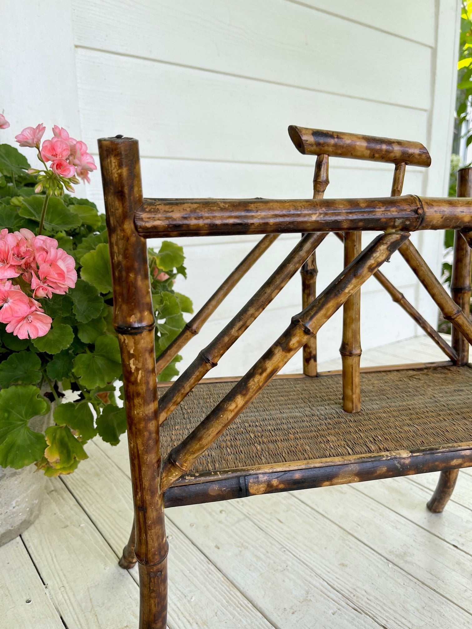 Antique 19th Century English Tortoise Bamboo Canterberry Stand