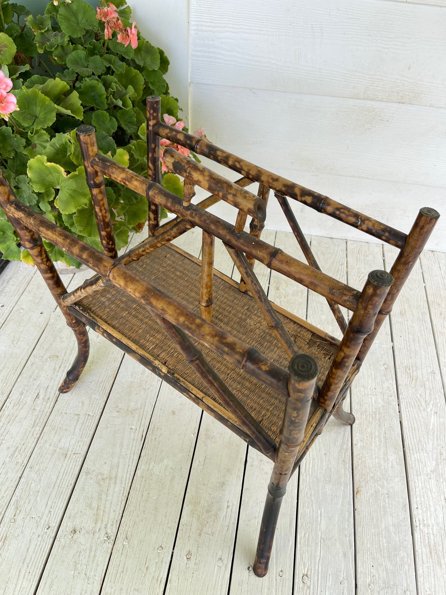 Antique 19th Century English Tortoise Bamboo Canterberry Stand