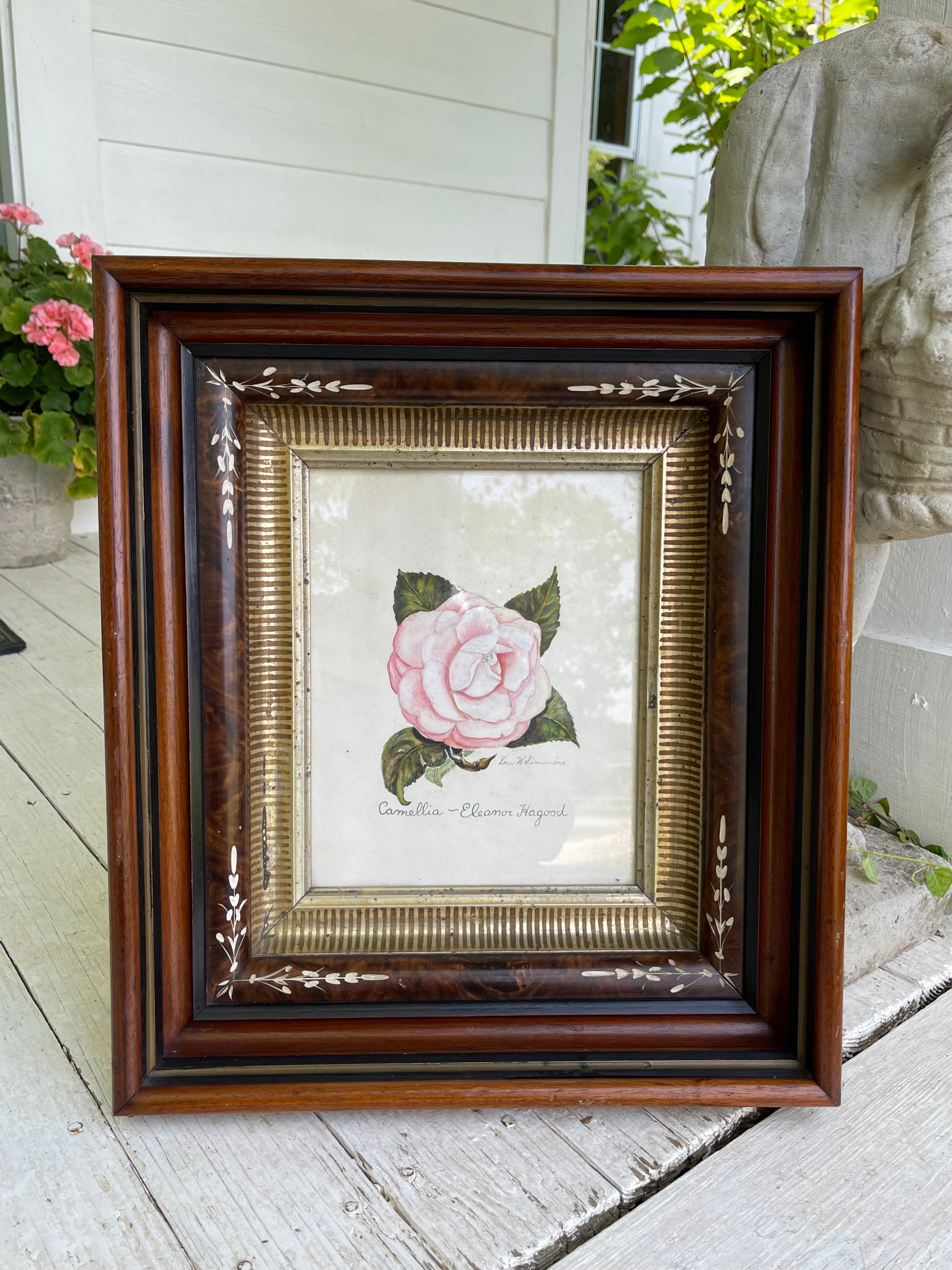 Antique Framed Hand Colored Botanical Drawing
