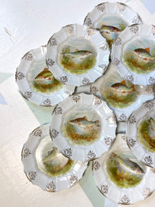 Antique Fish Motif Plates