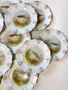 Antique Fish Motif Plates