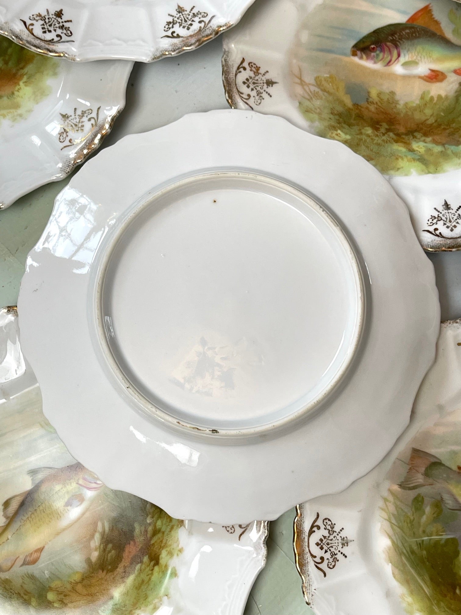 Antique Fish Motif Plates