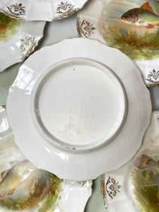 Antique Fish Motif Plates